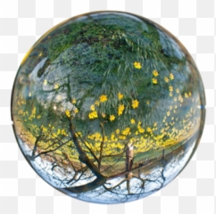 Download Free Png Earth In Hands Transparent Background - Nature Water Wallpaper Hd,Nature Transparent Background