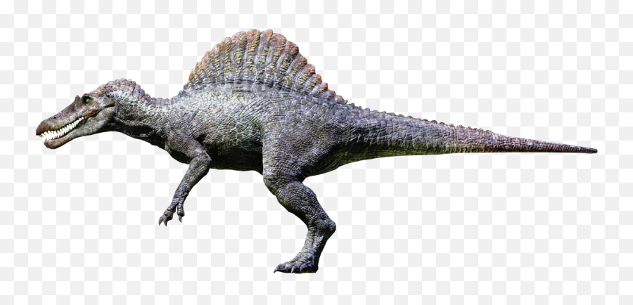 Spinosaurus Jurassic Park - Spinosaurus Png,Jurassic Park Png