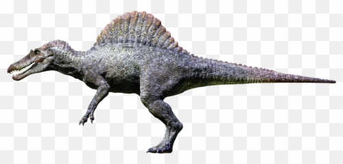 Spinosaurus Jurassic Park - Png