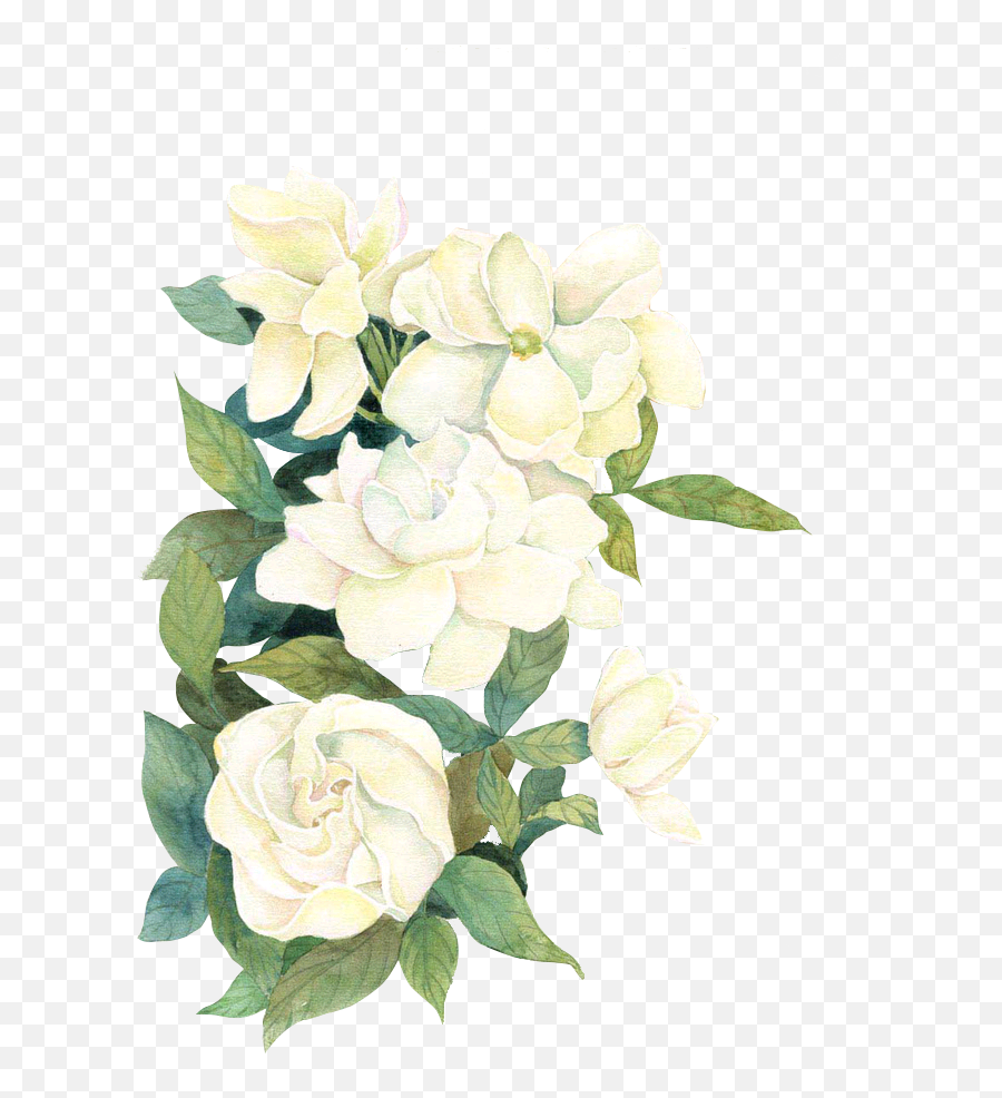 Download White Watercolor Flwoers - White Watercolor Flowers White Watercolor Flowers Transparent Background Png,Watercolor Flowers Png
