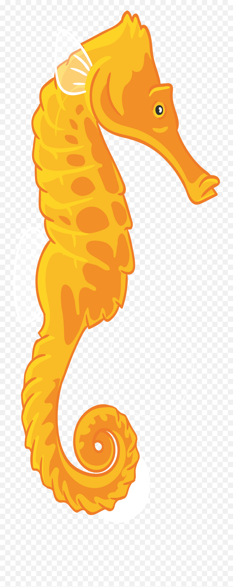 Orange Clipart Seahorse - Coral Reef Seahorse Clipart Transparent Background Png,Sea Horse Png