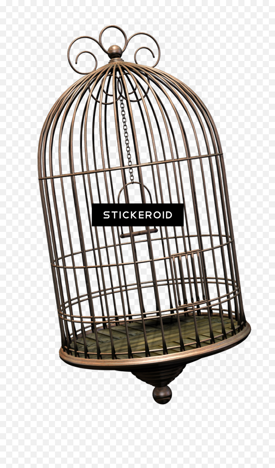 Download Cage Bird Objects - Bird Cage Png,Bird Cage Png