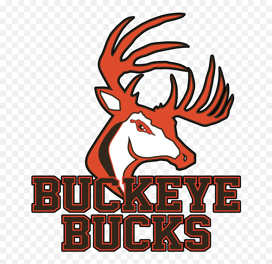 Buckeye - Buckeye High School Medina Png,Bucks Logo Png