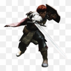 Sword And Shield Fighter - Warrior Dragons Dogma Skill Png,Sword And Shield Png