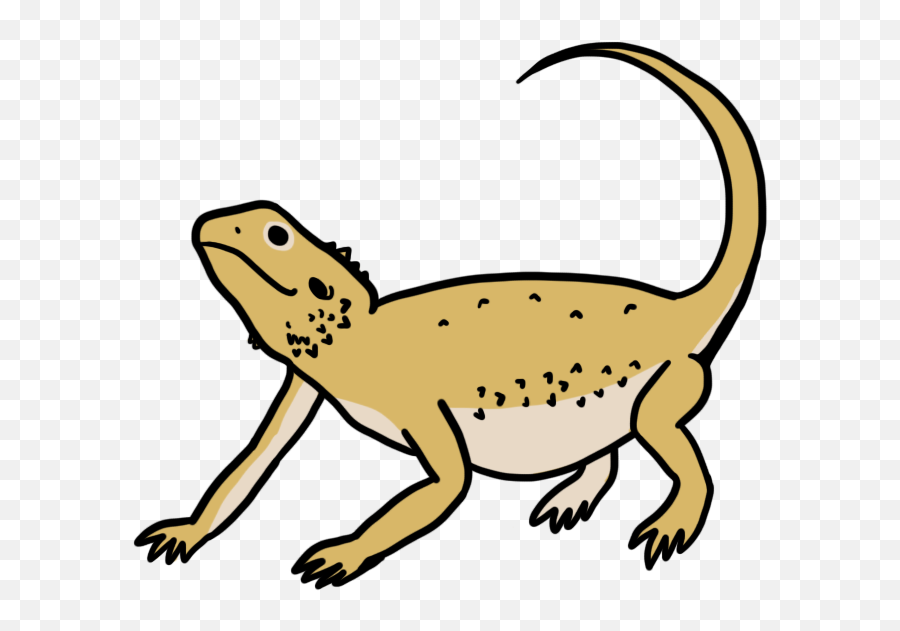 Download Hd Bearded Dragons Transparent Png Image - Nicepngcom Bearded Dragons,Bearded Dragon Png