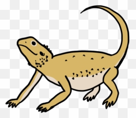 Download Hd Bearded Dragons Transparent Png Image - Nicepngcom Bearded Dragons,Bearded Dragon Png