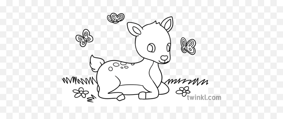 Baby Deer Colouring Page Spring Animals Pack - Cartoon Png,Baby Deer Png