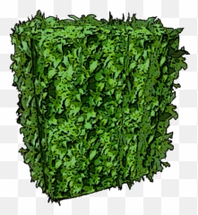 Box Hedge Mobile - Official Ark Survival Evolved Wiki Grass Png,Hedge Png