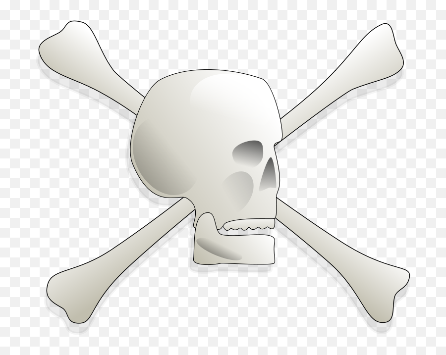 Download Vector - Skull And Bones Vectorpicker Skull And Bones Png,Skull And Crossbones Transparent Background