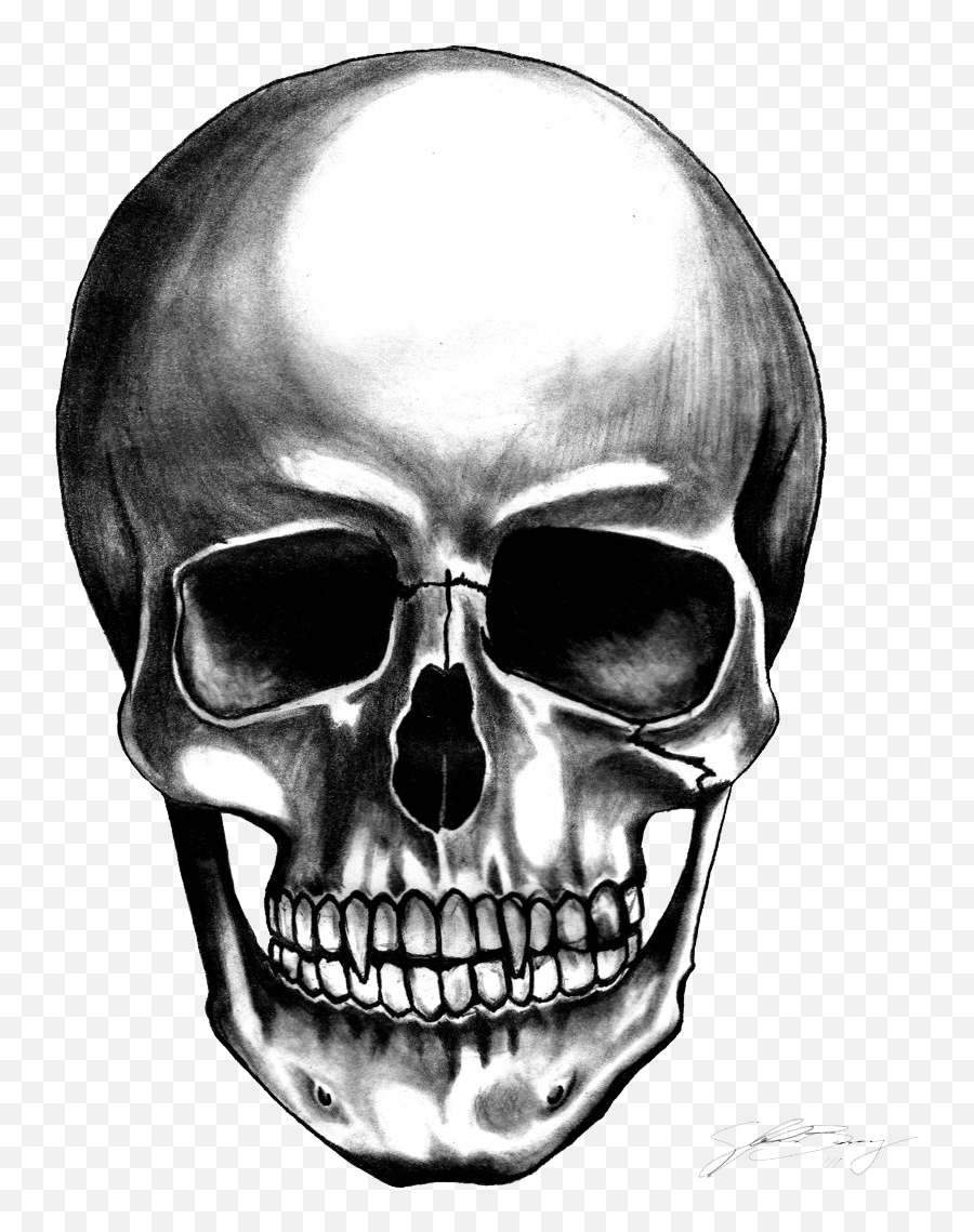Png Skull Transparent Clipart - Skull Transparent Background,Skull Face Png
