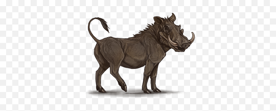 Common Warthog Lion Pig Hyena Mane - Warthog Png,Warthog Png
