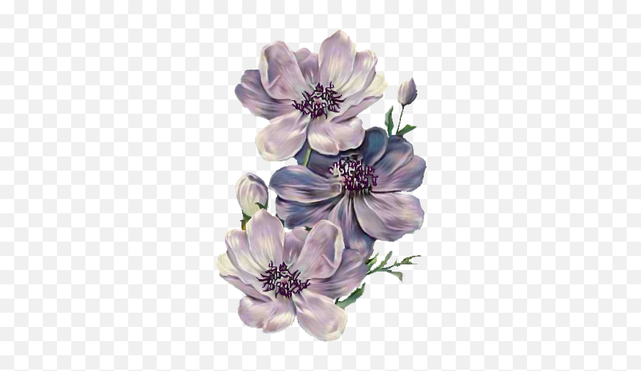 Index Of Userstbalzeflowerpng - Transparent Background Victorian Flowers Png,Lilac Png