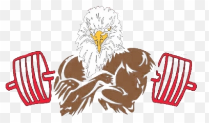 Home - Mudder What Fitness Bald Eagle Png,Tough Mudder Logos