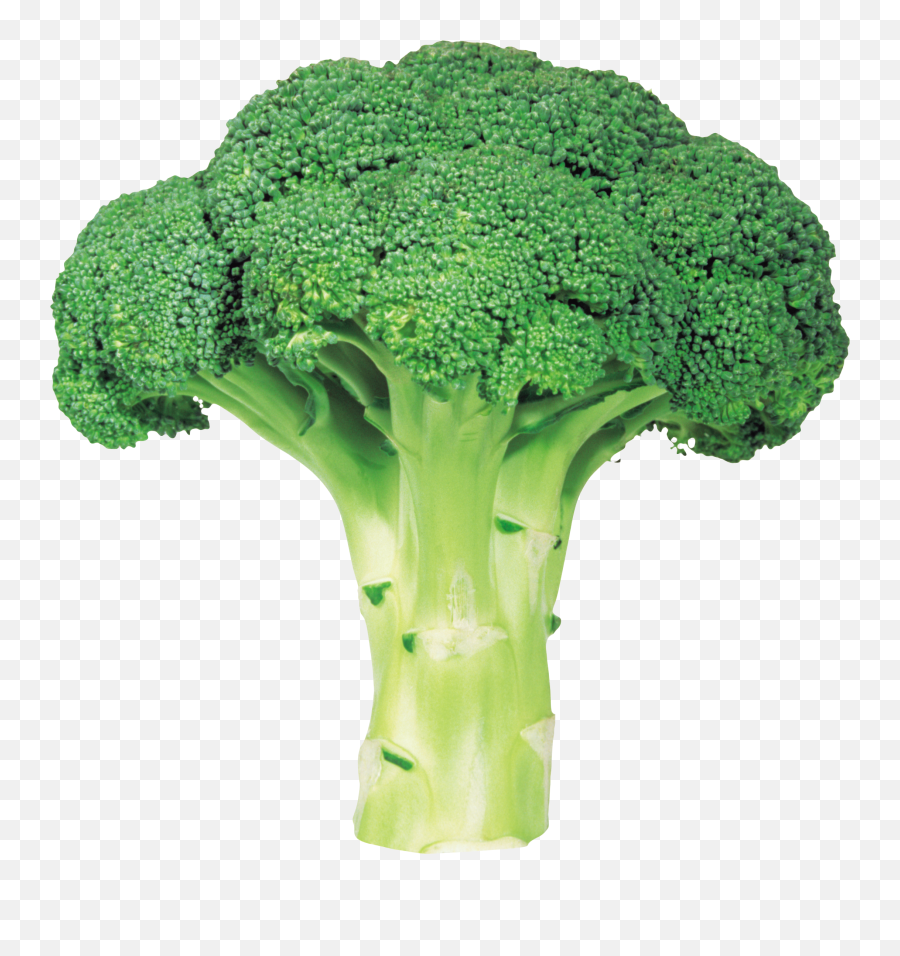 Green Fresh Broccoli Png Image - Broccoli Png,Vegetables Transparent Background