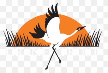 Crane Bird Png - Crane Trust Crane 2633686 Vippng Crane Trust,Crane Bird Png