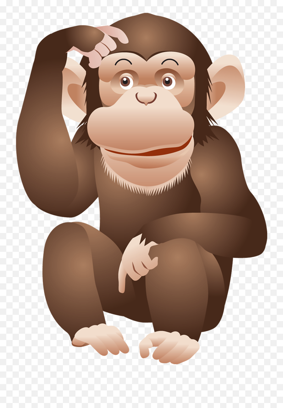 Png Monkey Transparent - Clipart Monkey Png,Monkey Transparent Background