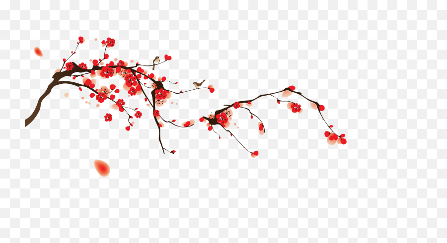 Cherry Blossom Png Free Vector Download - Cherry Blossom Branch Vector,Cherry Blossom Branch Png