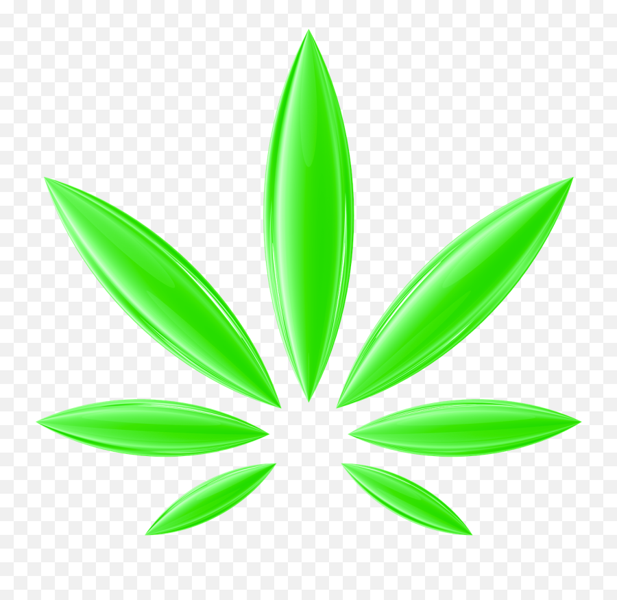 Download Free Photo Of Cannabishempganjaherbbud - From Weed Leaf Png,Marijuana Leaf Transparent