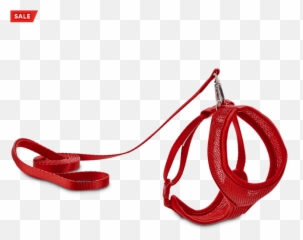 Good2go Red Mesh Cat Harness U0026 Lead Set - Leash png