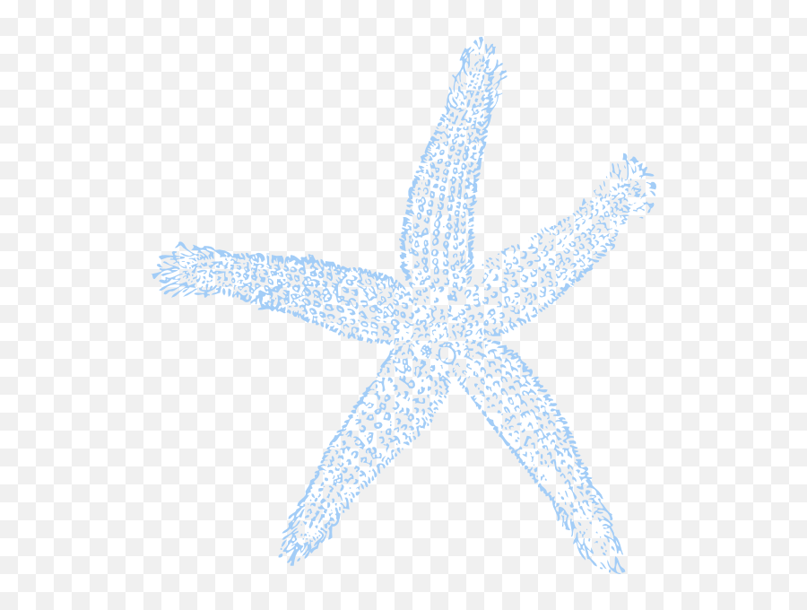 Maehr Green Starfish Clip Art - Vector Clip Art Fish Clip Art Png,Starfish Transparent