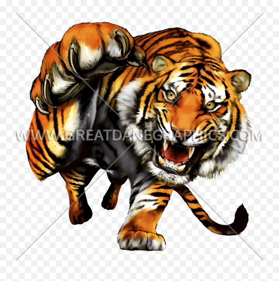 Tiger Prowl Production Ready Artwork For T - Shirt Printing Tiger Clawing At Camera Png,Tiger Claw Icon