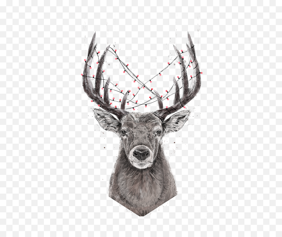 Xmas Deer Kids T - Xmas Deer Png,Deer Icon Tumblr