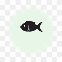 Fish Guide - BDO Codex Aquarium png