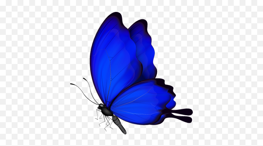 Butterfly Insect - Blue Glowing Butterfly Png,Blue Butterflies Png