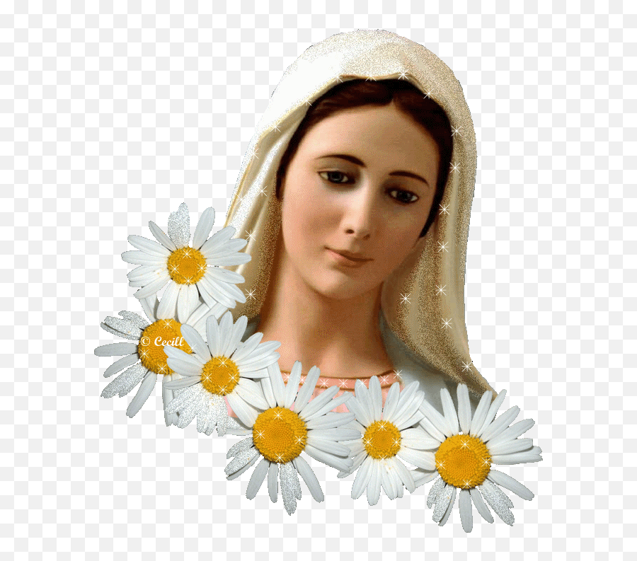 Glitter Graphics The Community For Enthusiasts - Mother Mary With Flower Png,Sparkle Gif Png