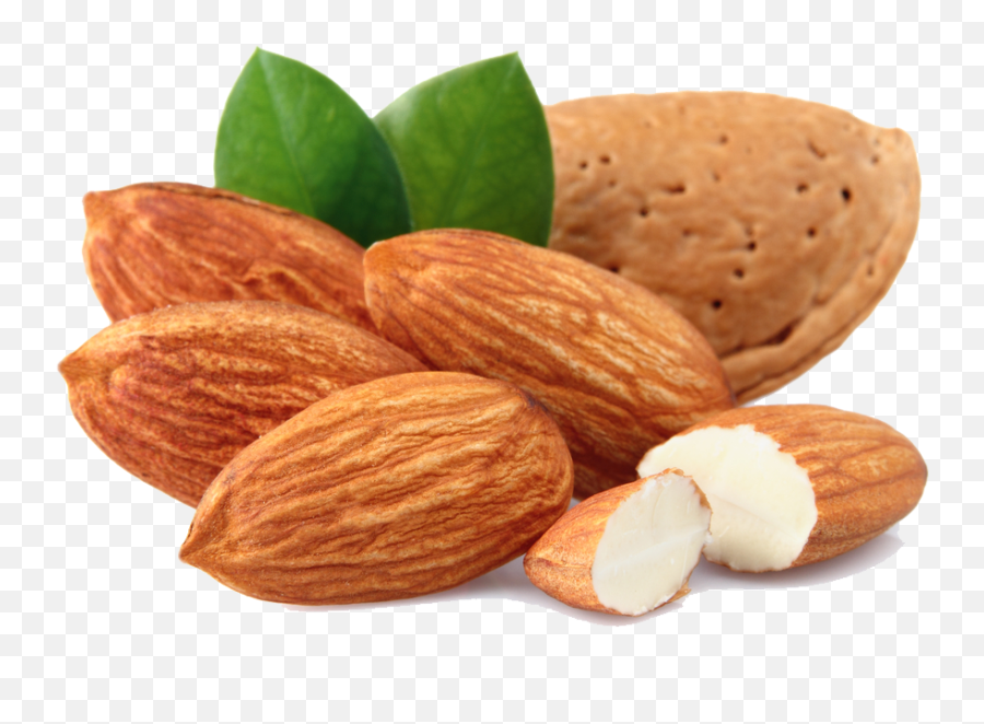 Almond Png Transparent Images - Almond Png,Almonds Png