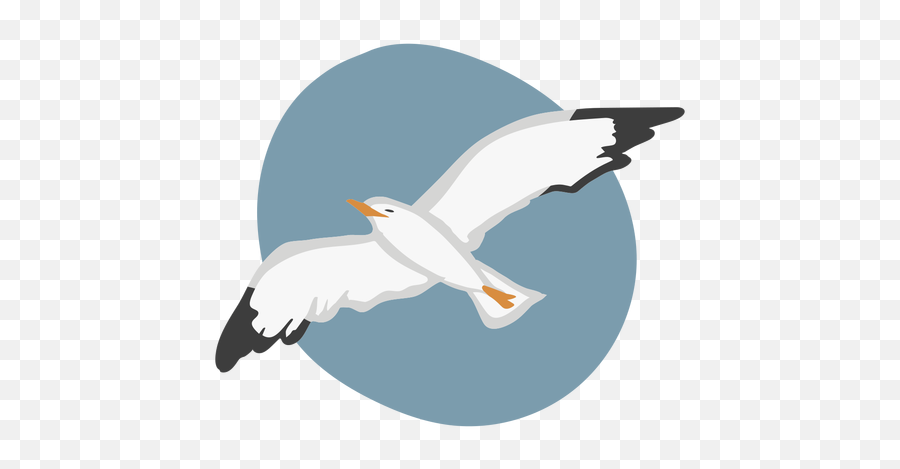 Seagull Flying Flat - Transparent Png U0026 Svg Vector File Gaivotas Voando Png,Seagull Png