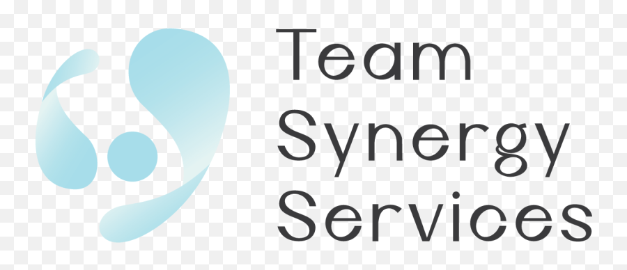 Home - Team Synergy Services Dot Png,Synergy Icon