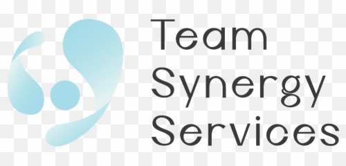 Home - Team Synergy Services Dot png