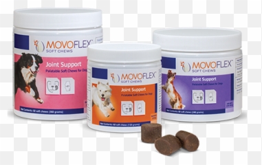 Movoflex North Penn Animal Hospital - Lansdale PA png