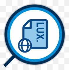International Company Information Png Verified By Visa Icon