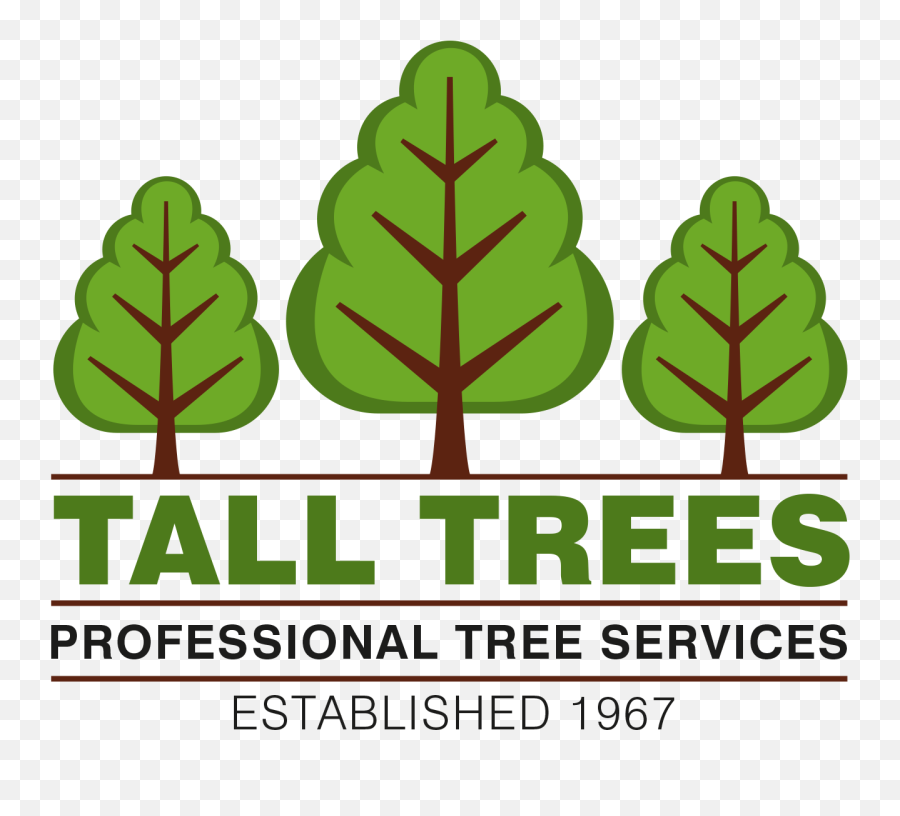 Arborist In Stockport Tall Trees Professional Tree - Manyas Bird Paradise National Park Png,Tall Tree Png