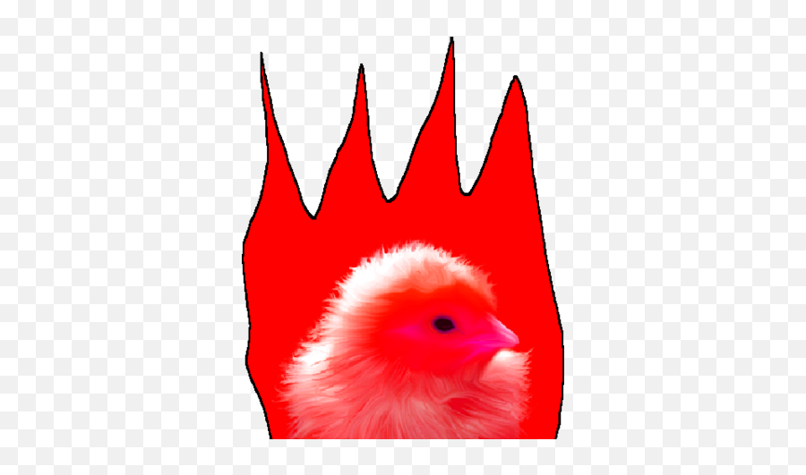 Fire Chick Chickpedia Wiki Fandom - Clip Art Png,Chick Png