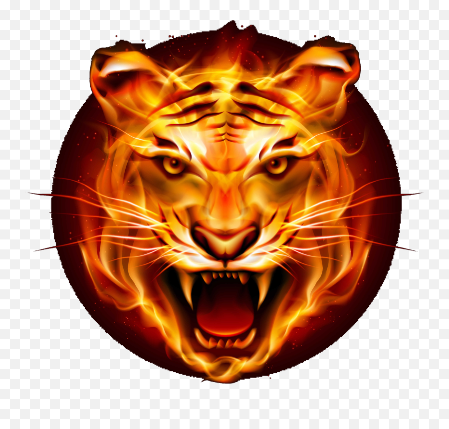 Download Hd Tiger Png Logo - Tiger Logo Hd Png,Tiger Logo Png