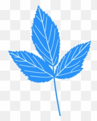 Mint Leaf Silhouette - Free Vector Silhouettes Creazilla Hoja De Menta Dibujo png