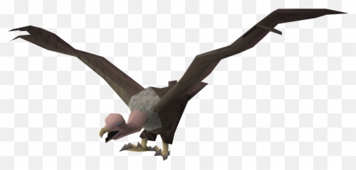 Download Free Png Vulture - Vulture Flying Down Png,Vulture Png