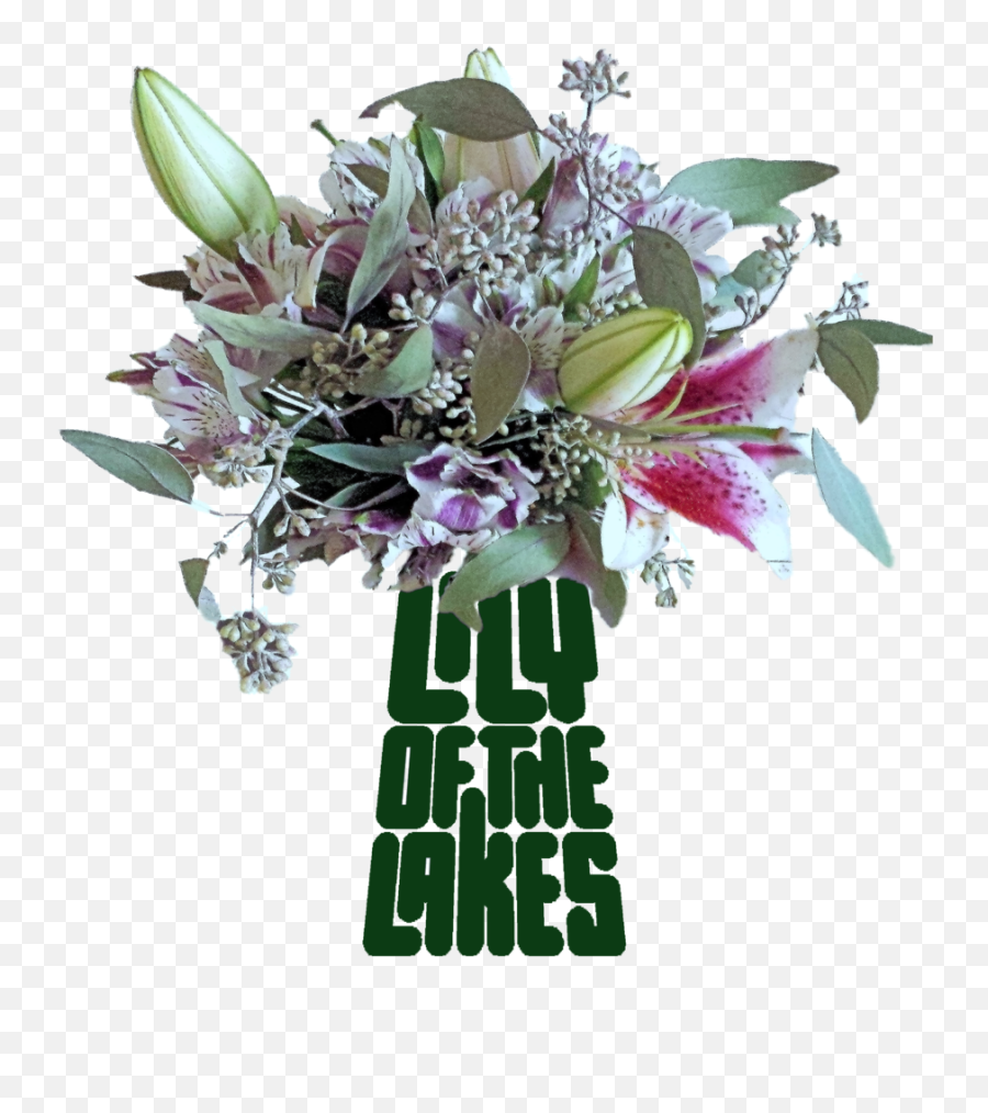 Lily Of The Lakes Png Transparent