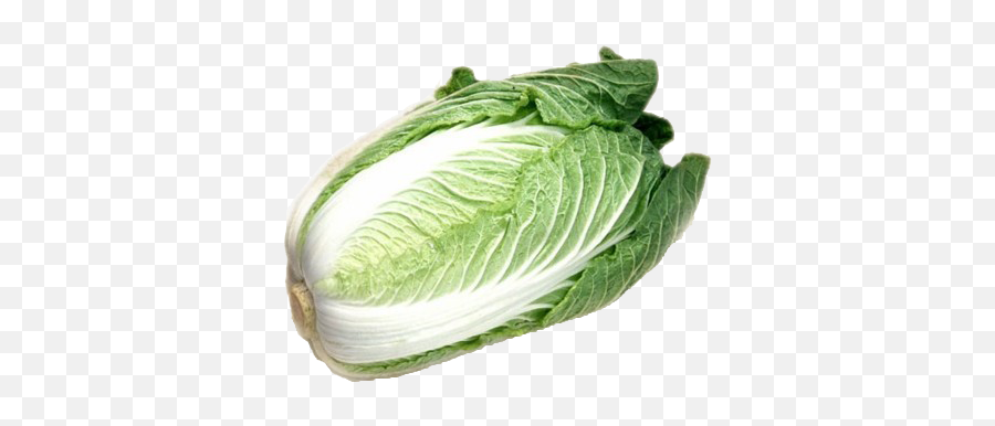 Lettuce Png Transparent Background