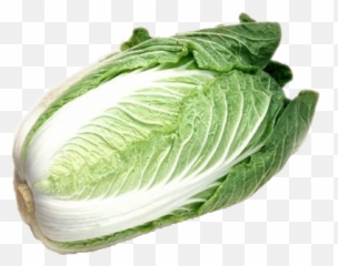 Lettuce Png Transparent Background