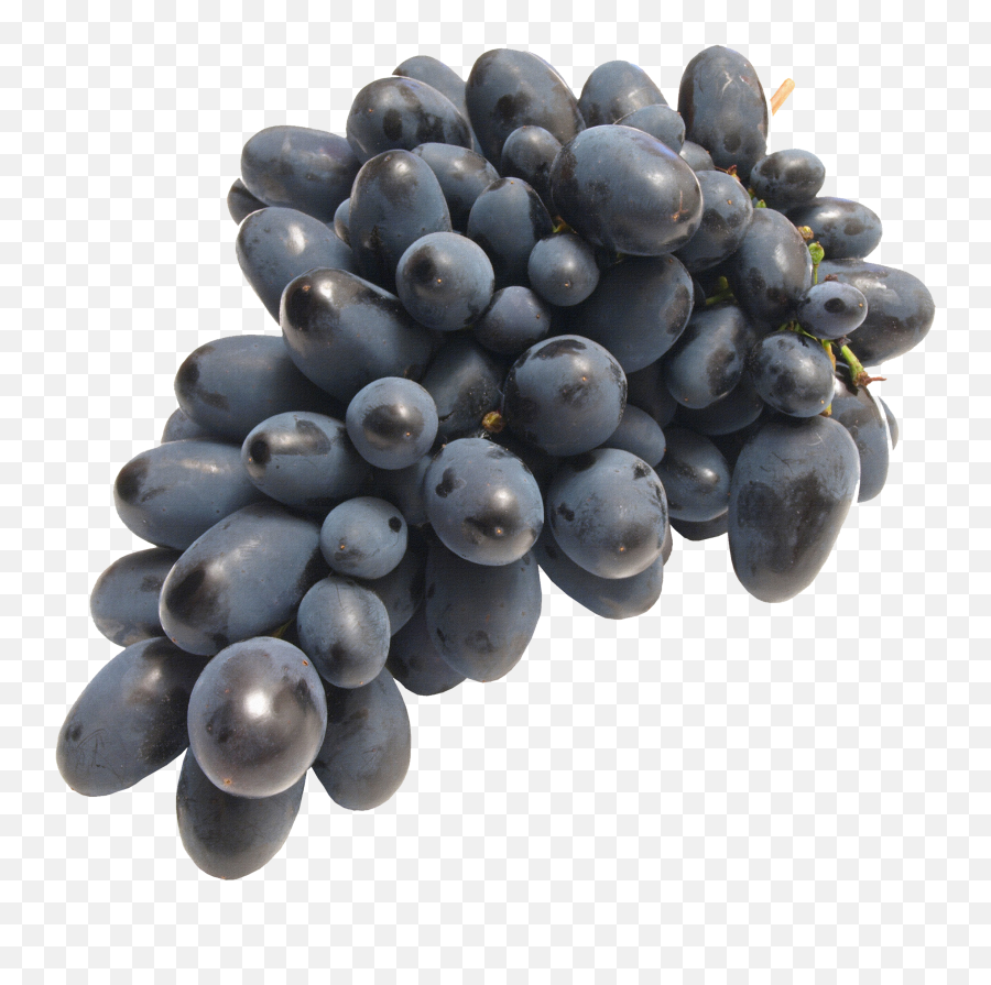 Download Black Grapes Png Image For Free Grape