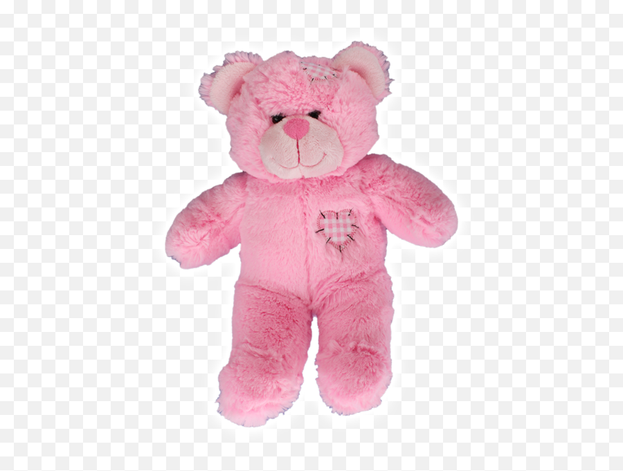 Teddy Mountain The Leading Stuff - Yourown Teddy Bear Franchise Build A Bears Patches Png,Teddy Bear Transparent