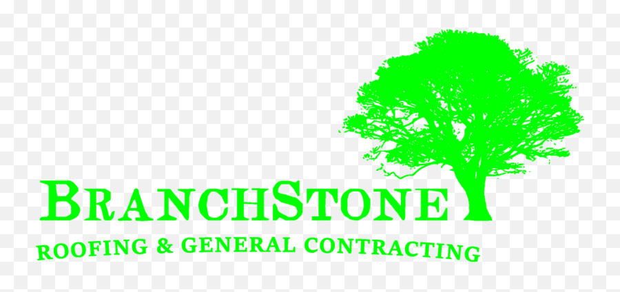Roofing General Contractor - Oak Tree Silhouette Png,Seahawk Logo Png