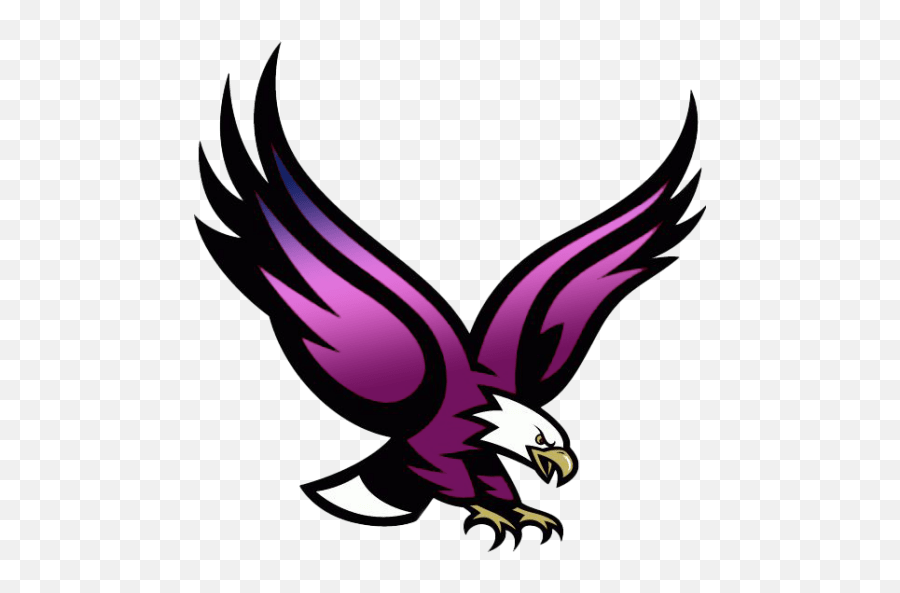 Cropped - Boston College Eagle Png,Eagle Png