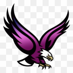 Cropped - Boston College Eagle png