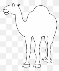 Camel - Png Black Background