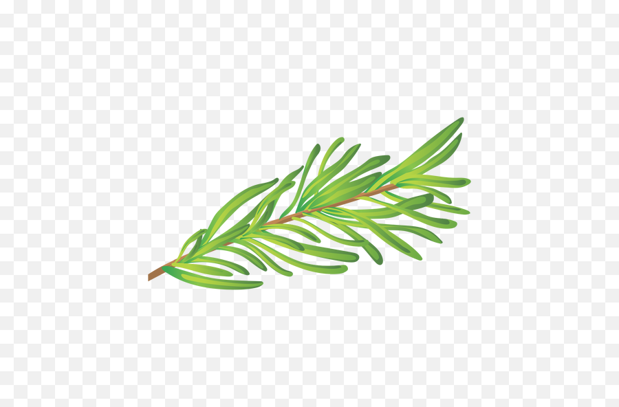 Herb Png And Vectors For Free Download - Dlpngcom Rosemary Png Transparent,Mint Leaves Png